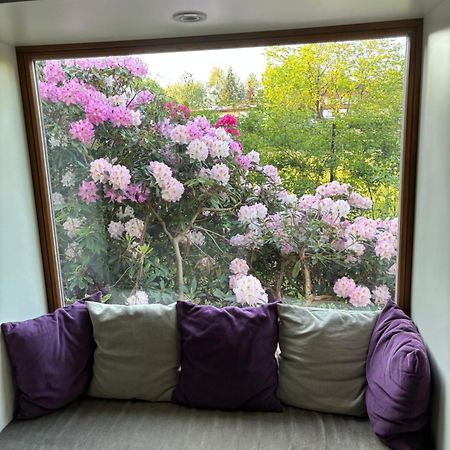 7 Bedroom Secluded Villa Close To Prague Ricany  Exterior photo